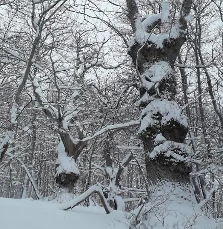 La Stradella Шале Серравалле