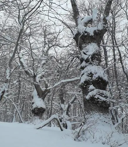 La Stradella Domek alpejski Serravalle (Bibbiena)